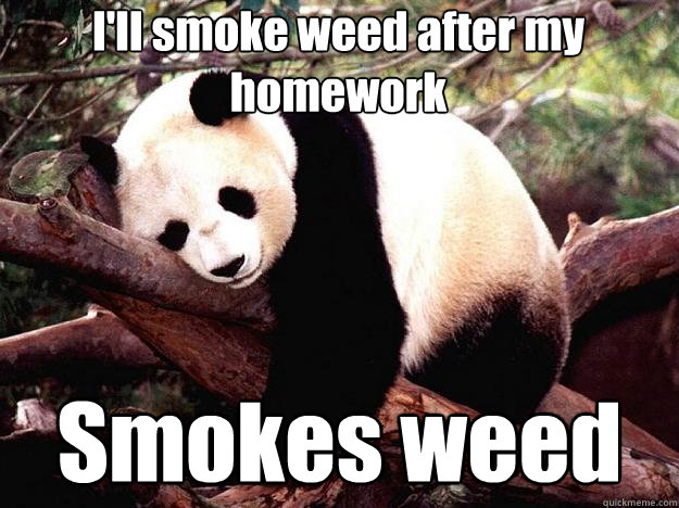 I'll smoke weed after my homework Smokes weed  Procrastination Panda