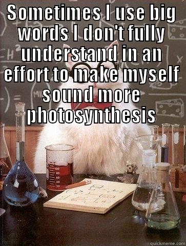 Sometimes I use big words I don't fully understand in an effort to make myself sound more photosynthesis - SOMETIMES I USE BIG WORDS I DON'T FULLY UNDERSTAND IN AN EFFORT TO MAKE MYSELF SOUND MORE PHOTOSYNTHESIS  Chemistry Cat