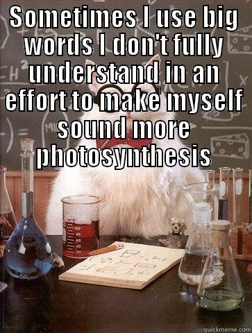SOMETIMES I USE BIG WORDS I DON'T FULLY UNDERSTAND IN AN EFFORT TO MAKE MYSELF SOUND MORE PHOTOSYNTHESIS  Chemistry Cat