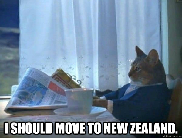  I should move to New Zealand.  morning realization newspaper cat meme