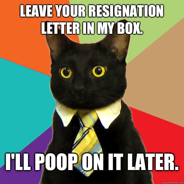 Leave your resignation letter in my box. I'll poop on it later. - Leave your resignation letter in my box. I'll poop on it later.  Business Cat