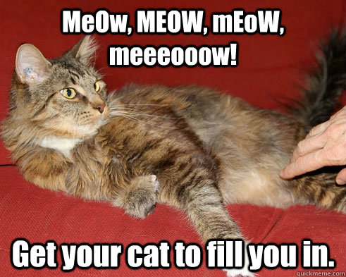 MeOw, MEOW, mEoW,    meeeooow! Get your cat to fill you in.  