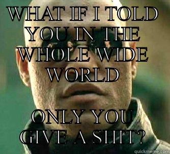 WHAT IF I TOLD YOU IN THE WHOLE WIDE WORLD ONLY YOU GIVE A SHIT? Matrix Morpheus