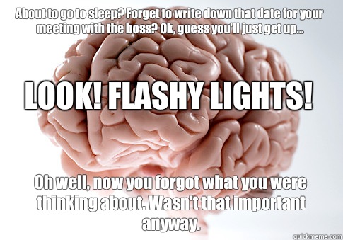 About to go to sleep? Forget to write down that date for your meeting with the boss? Ok, guess you'll just get up... Oh well, now you forgot what you were thinking about. Wasn't that important anyway. LOOK! FLASHY LIGHTS!  Scumbag Brain
