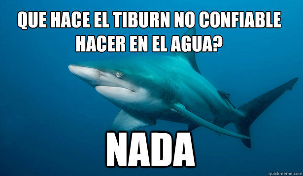 ¿Que hace el tiburón no confiable hacer en el agua? nada  