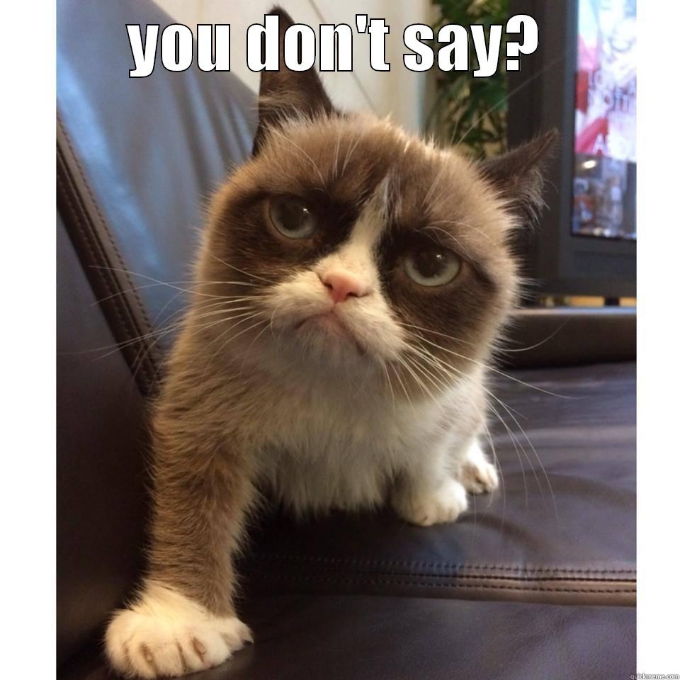  YOU DON'T SAY? Misc