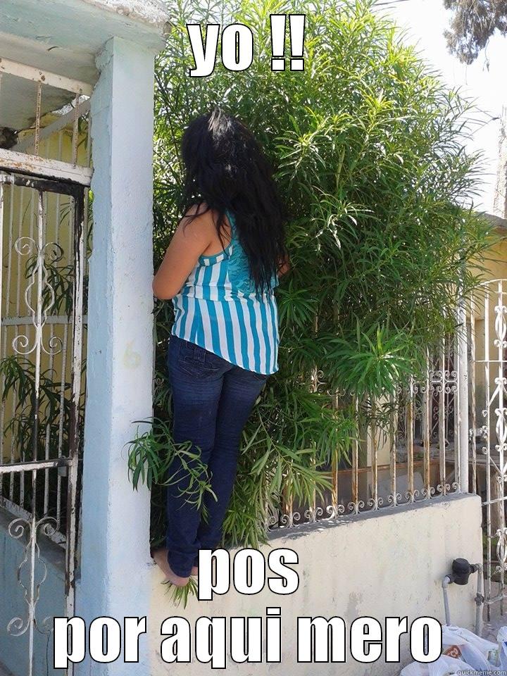 YO !! POS POR AQUI MERO Misc