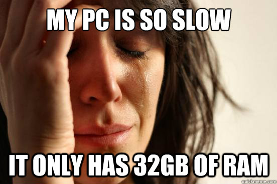 my pc is so slow it only has 32gb of ram  First World Problems