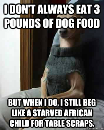 I don't always eat 3 pounds of dog food But when I do, I still beg like a starved African child for table scraps. - I don't always eat 3 pounds of dog food But when I do, I still beg like a starved African child for table scraps.  intelligent dog