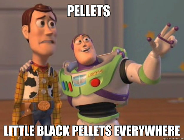 Pellets Little black pellets Everywhere - Pellets Little black pellets Everywhere  buzz