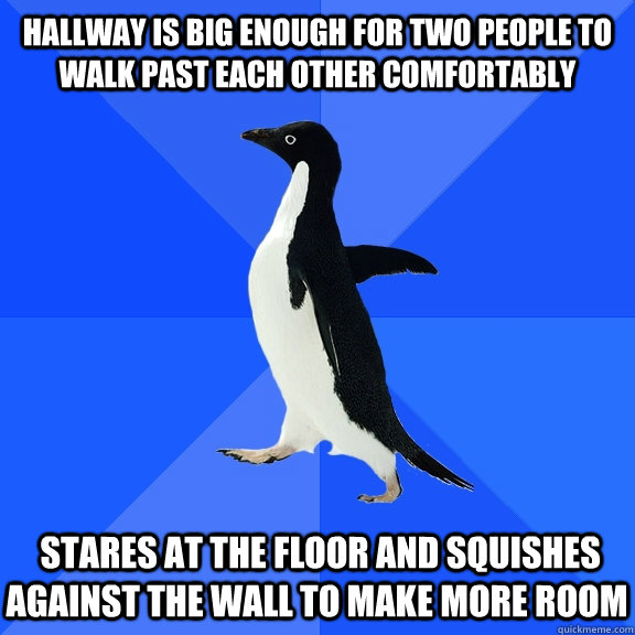 Hallway is big enough for two people to walk past each other comfortably  stares at the floor and squishes against the wall to make more room  Socially Awkward Penguin
