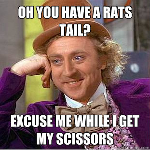 oh you have a rats tail? excuse me while i get my scissors - oh you have a rats tail? excuse me while i get my scissors  Condescending Wonka
