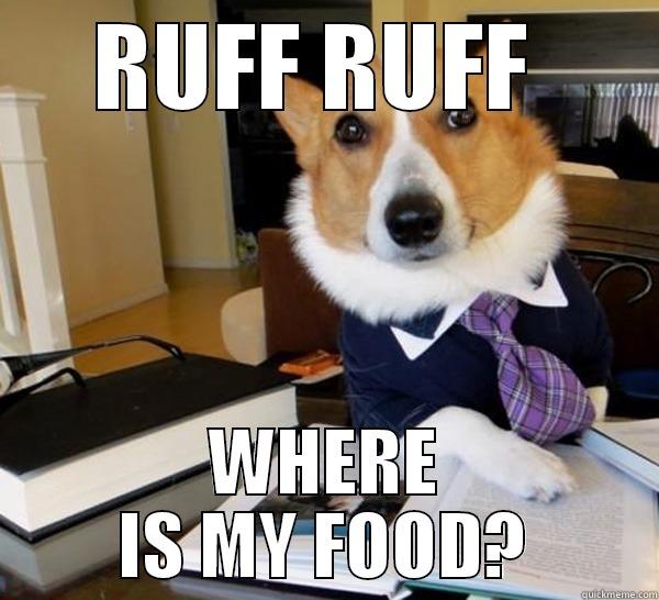 RUFF RUFF  WHERE IS MY FOOD? Lawyer Dog