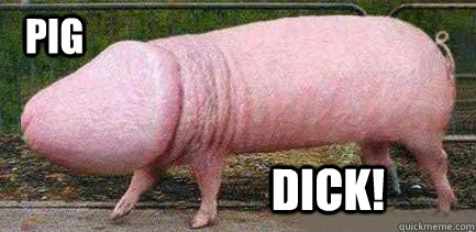 Pig DICK! - Pig DICK!  PigDICK!