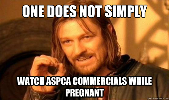 One Does Not Simply watch ASPCA commercials while pregnant  Boromir