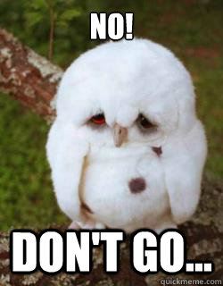 No! Don't go... - No! Don't go...  Sad Owl