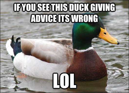If you see this duck giving advice its wrong LOL  Actual Advice Mallard