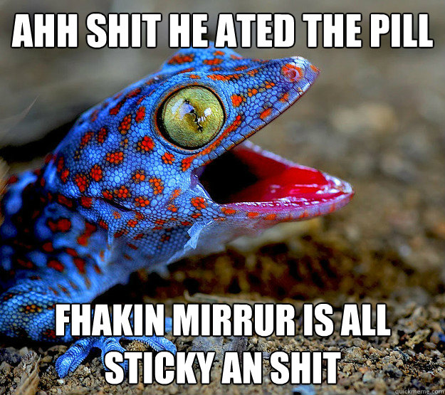 Ahh Shit He ated The pill Fhakin mirrur is all sticky an shit - Ahh Shit He ated The pill Fhakin mirrur is all sticky an shit  Obnoxious Gecko At The Movies