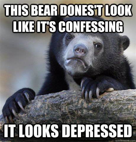 this bear dones't look like it's confessing it looks depressed - this bear dones't look like it's confessing it looks depressed  Confession Bear