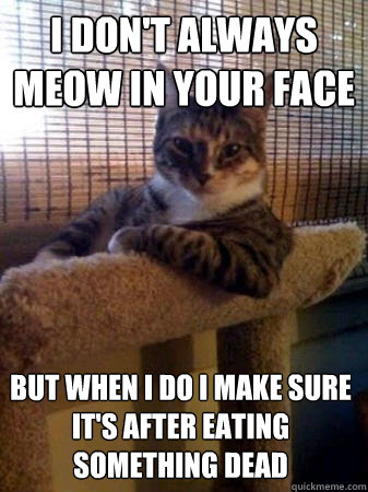 i don't always meow in your face but when i do i make sure it's after eating something dead  The Most Interesting Cat in the World