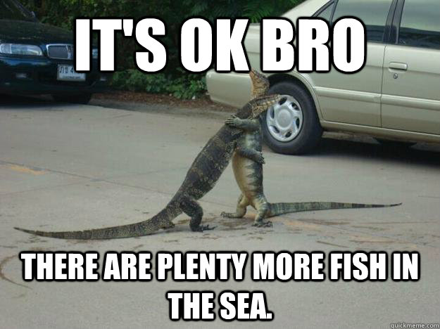 It's ok bro there are plenty more fish in the sea. - It's ok bro there are plenty more fish in the sea.  Hugging Aligators