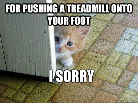 for pushing a treadmill onto your foot I Sorry   Sorry Cat