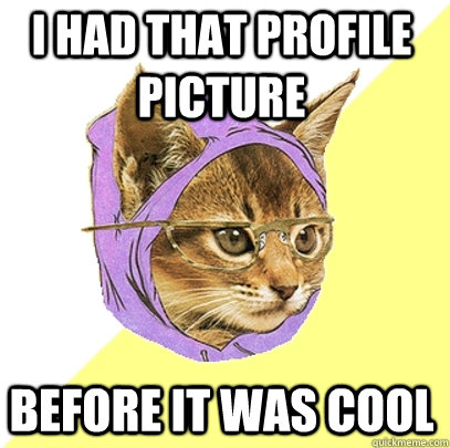 I had that profile picture before it was cool  Hipster Kitty