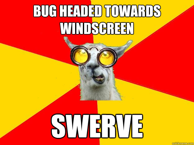 Bug headed towards windscreen swerve  Learner Driver Llama