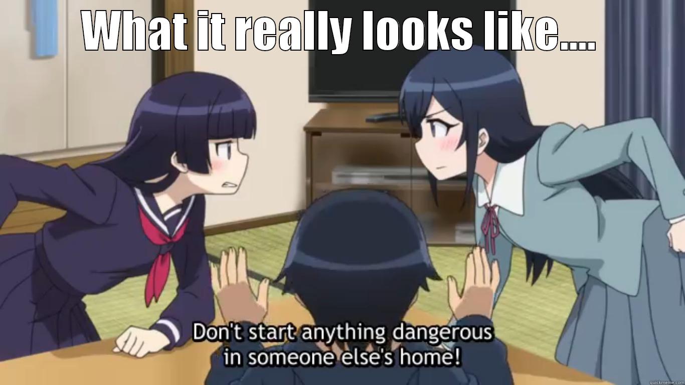 WHAT IT REALLY LOOKS LIKE....  Misc