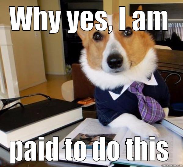 working in social media - WHY YES, I AM PAID TO DO THIS Lawyer Dog