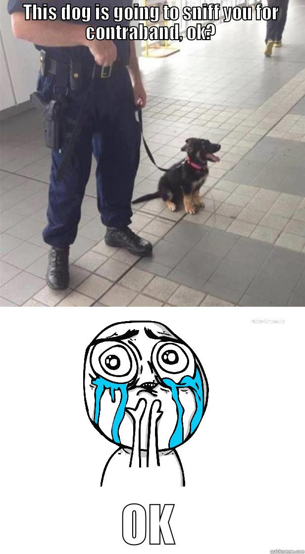THIS DOG IS GOING TO SNIFF YOU FOR CONTRABAND, OK? OK Misc