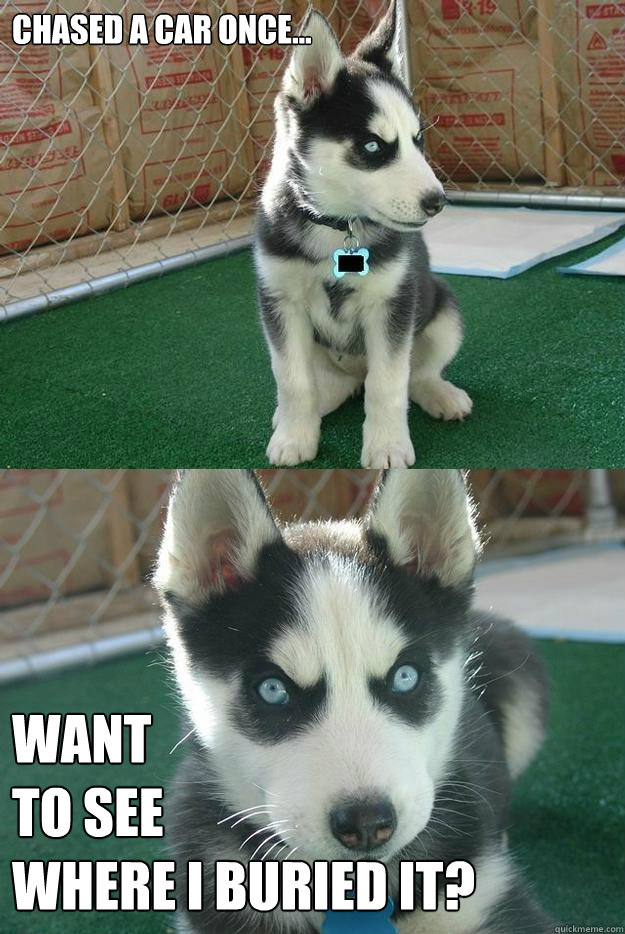 Chased a car once... want 
to see 
where I buried It?  Insanity puppy
