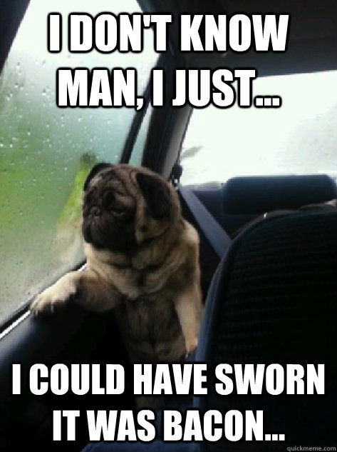 I don't know man, I just... I could have sworn it was bacon...  Introspective Pug