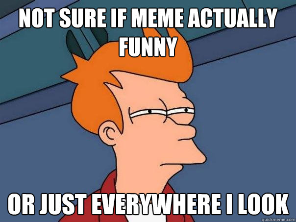 Not sure if meme actually funny or just everywhere i look - Not sure if meme actually funny or just everywhere i look  Futurama Fry