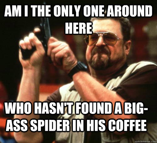 Am i the only one around here Who hasn't found a big-ass spider in his coffee  Am I The Only One Around Here