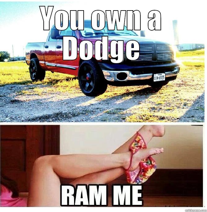 YOU OWN A DODGE  Misc