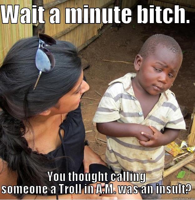 WAIT A MINUTE BITCH.  YOU THOUGHT CALLING SOMEONE A TROLL IN A.M. WAS AN INSULT? Skeptical Third World Kid