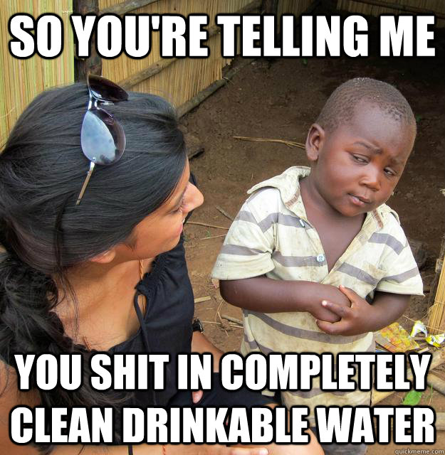 So you're telling me you shit in completely clean drinkable water  Third World Skeptic Kid