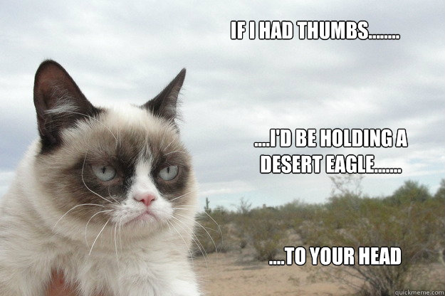 If I had thumbs........ ....I'd be holding a Desert eagle....... ....To your head  Grump Cat