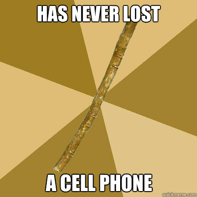 has never lost a cell phone - has never lost a cell phone  Boring Stick