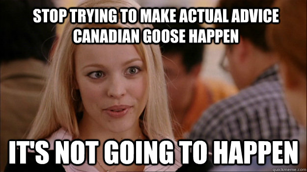 Stop trying to make Actual Advice Canadian Goose happen It's not going to happen  Mean Girls Carleton