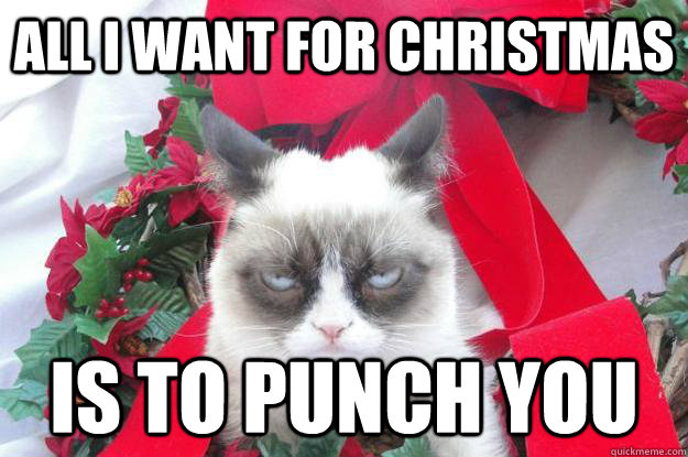 all i want for christmas is to punch you  