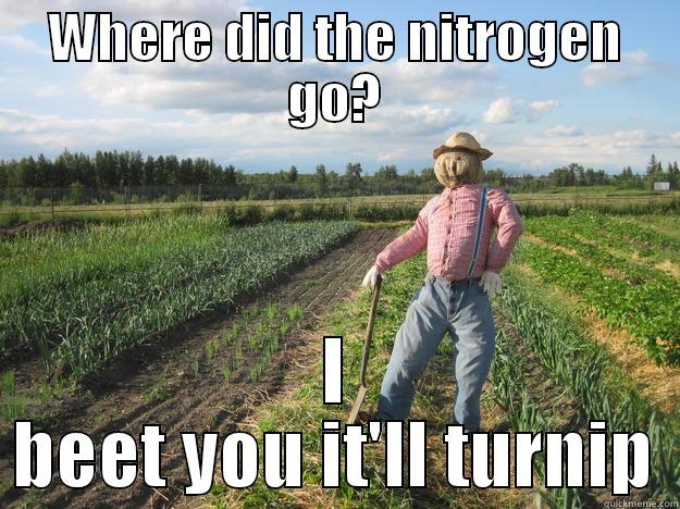 nitrogen pollution - WHERE DID THE NITROGEN GO? I BEET YOU IT'LL TURNIP Scarecrow