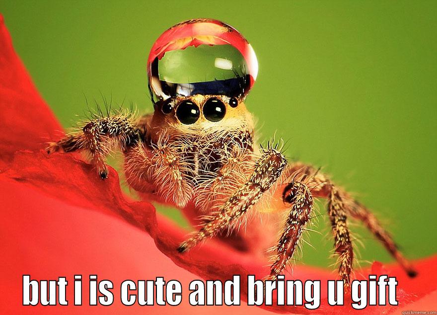  BUT I IS CUTE AND BRING U GIFT   Misc