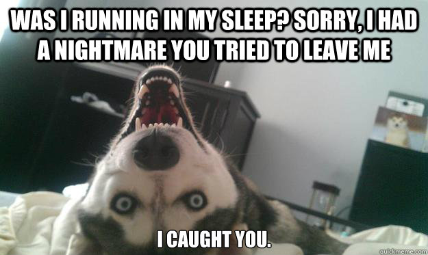 was i running in my sleep? sorry, I had a nightmare you tried to leave me I caught you.  Over Obsessive Dog