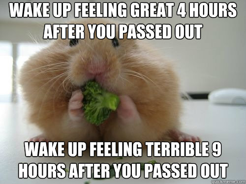 Wake up feeling great 4 hours after you passed out Wake up feeling terrible 9 hours after you passed out - Wake up feeling great 4 hours after you passed out Wake up feeling terrible 9 hours after you passed out  Hangover Hamster