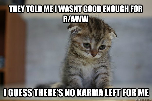 They told me I wasnt good enough for r/aww i guess there's no karma left for me - They told me I wasnt good enough for r/aww i guess there's no karma left for me  Sad Kitten