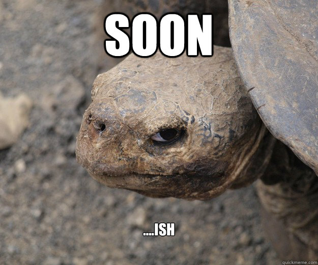 Soon ....ish - Soon ....ish  Angry Turtle