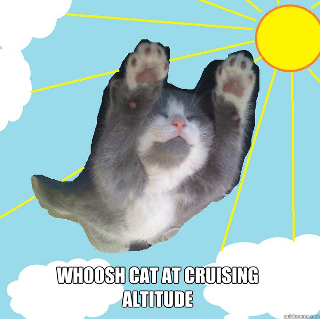 Whoosh cat at cruising altitude  