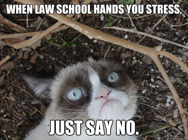 When law school hands you stress, Just say No.  - When law school hands you stress, Just say No.   Stressed Grumpy Cat